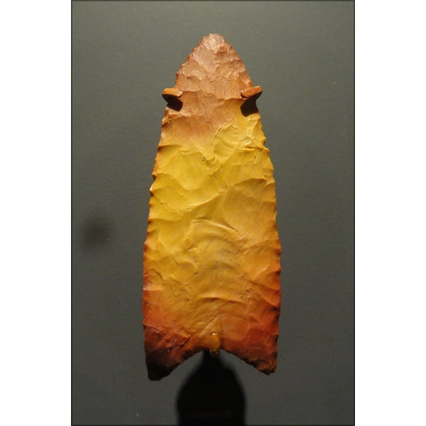 11500-9000 Bc Arrowhead Spearhead Arrow Head Many Sizes; Clovis Point Poster